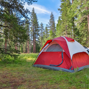 Tent & Shelters